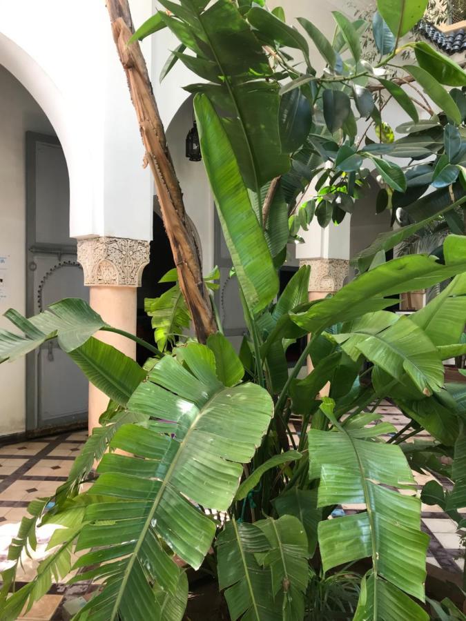 Riad Sahara Nour Marrakesh Exterior photo
